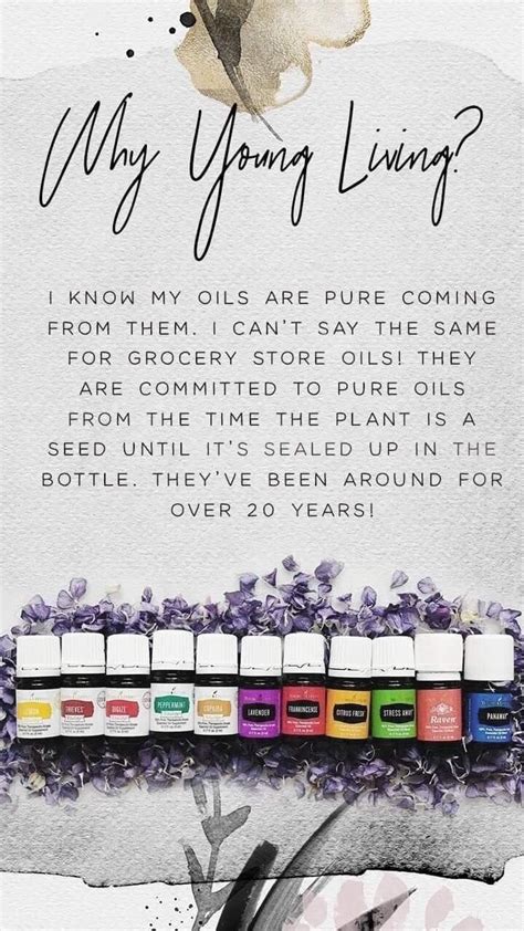 öle young living|World Leader in Essential Oils 